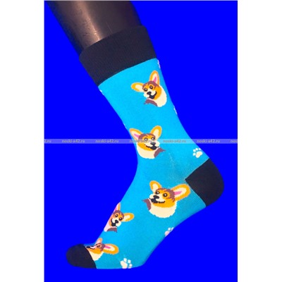 Nice Socks (AMIGOBS) ЦВЕТНЫЕ ВЫСОКИЕ НОСКИ на вешалке арт. 2208