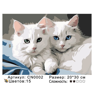 CN0002 Картины по номерам 20*30 цвет.холст