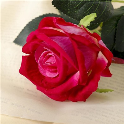 Цветы искусственные "Роза венесуэльская" 8х23 см, малиновый