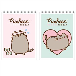 Блокнот А7  40л "Pusheen" спираль лак PS13/2 АкХолд