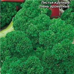 Петрушка кудрявая Бабушкина грядка, 2 г