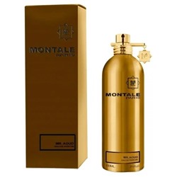 MONTALE MR.AOUD edp 100ml UAE