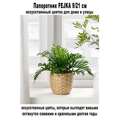 Папоротник FEJKA 9-21 см