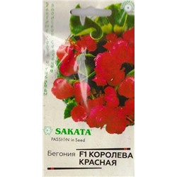 Бегония Королева Красная F1 (Код: 86953)