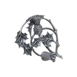 "Кардус" брошь в серебряном покрытии из коллекции "Флорина" от Jenavi