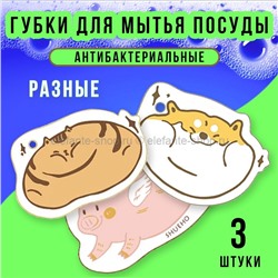 Губки для мытья посуды Able Goods 3 штуки LK-19 (BJ)