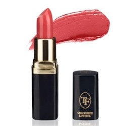 Triumph Помада для губ тон 27 цвет корицы Color Rich Lipstick CZ06