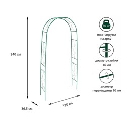 Арка садовая, разборная, 240 × 120 × 36.5 см, металл, зелёная, «Веточка», Greengo