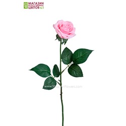 Роза малая - темно-розовый