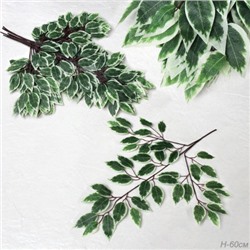 Искусственные листья 12 штук Фикус / NA77-10 /уп 50/бело-зеленые листья