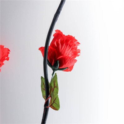 Сухоцвет набор 5 штук 155 см Роза красная / 1810-18 /уп 120/А