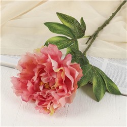 Цветы искусственные "Георгин Фин" 15х57 см, розовый