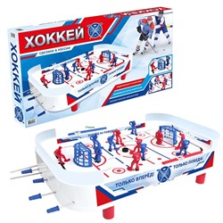 Хоккей НИ10001 в коробке 65х35,5х7,5см ТМ Green Plast в Самаре