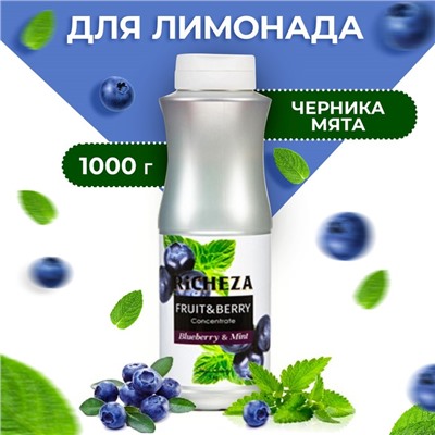 Концентрат RiCHEZA «Черника - Мята», 1000 г