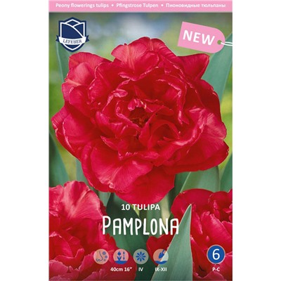 Тюльпан Памплона (Tulipa Pamplona), 10 шт (разбор 11/12)