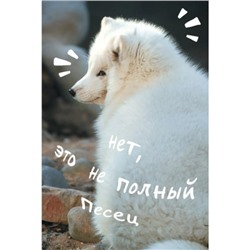 Записная книжка А5  80л клетка "Песец" КЗ5803979 Эксмо