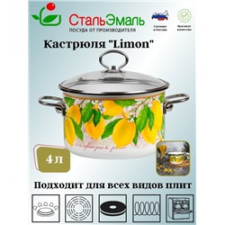 Кастрюля 4,0л цил. Limon 1SD205S белосн.