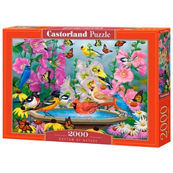 Пазл 2000 Ритм природы С-200818 Castor Land в Самаре