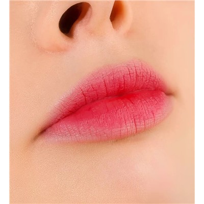 Тинт для губ с гиалуроновым комплексом Lip Tint Aqua Gel Hyaluron Complex, 02 тон, 3.4 г