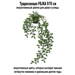 Традесканция FEJKA 9-70 см