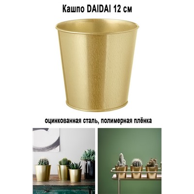 Кашпо DAIDAI 12 см