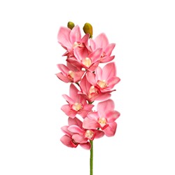 Орхидея Цимбидиум 3D - белый с красной сердцевиной