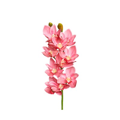 Орхидея Цимбидиум 3D - белый с красной сердцевиной