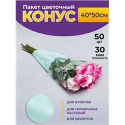 Пакет цветочный Конус 40/50 To be in love мятный 50 шт