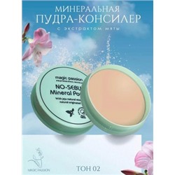 Минеральная пудра-консилер для лица Magic Passion No-Sebum Mineral Powder 02