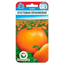 Тыква Кустовая оранжевая (Код: 91618)