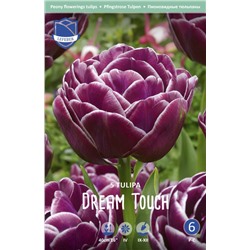 Тюльпан Дрим Тач (Tulipa Dream Touch), 5 шт (разбор 12/14)