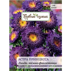 Астра Принцесса Линда, тёмно-фиолетовая