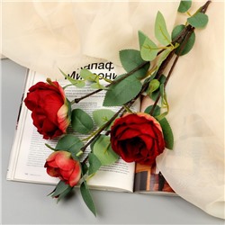 Цветы искусственные "Роза пионовидная галант" 7х61 см, красный