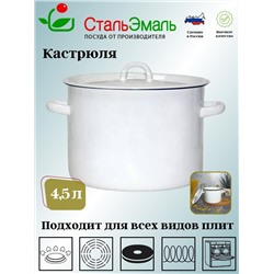 Кастрюля 4,5л 2с17 без рис.белосн.