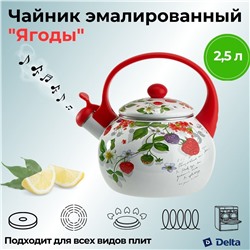 Чайник эмалированный 2,5л со свистком "Ягоды" EM-1322