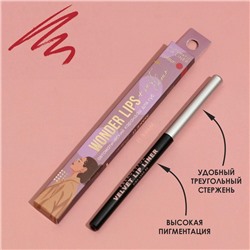 Автоматический карандаш для губ Wonder Lips, оттенок 305, Fashion Week