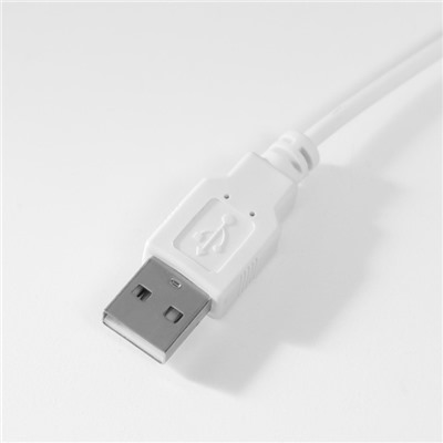 Фоторамка дерево 9х13 см с подсветкой "Белые розы в колбе" USB 9,5х21х17,5 см