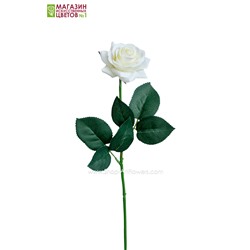 Роза малая - белый