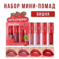 Набор мини-помад для губ Dragon Ranee Cherry 4in1 Lipstick Set