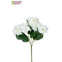 Гортензия куст (5 соцветий) - 11 расцветок - белый