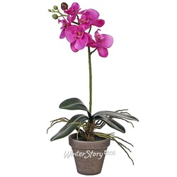 Орхидея искусственная в горшке 48 см розовая (Edelman)