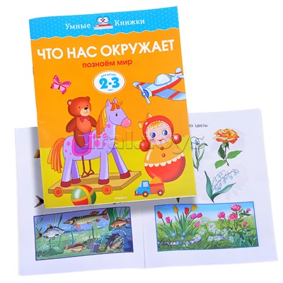 Умная книжка 2-3 года. Что нас окружает.