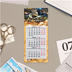 Календарь мини-трио "Символ года - 5" на магните,  2025 год, 24,5 х 11 см