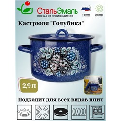 Кастрюля 2,9л 1с16с/1 син. с зерн. Голубика