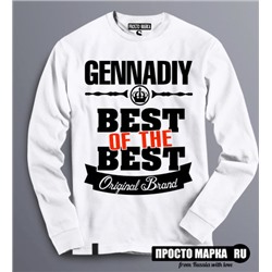 Толстовка (Свитшот) Best of The Best Генадий