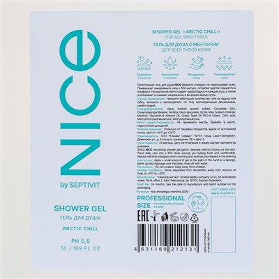 Гель для душа NICE by SEPTIVIT Arctic Chill, 5 л