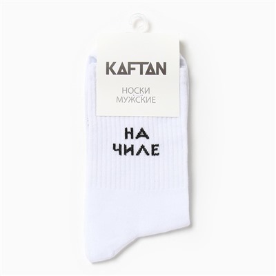 Носки мужские KAFTAN "На чиле" размер 41-44 (27-29 см)