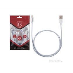 Кабель Energy ET-01 USB/Type-C серебро 006372