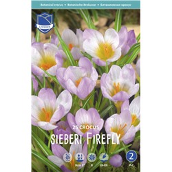 Крокус Зибера Файерфлай (Crocus Sieberi Firefly), 25 шт (разбор 5/7)