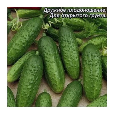 Огурец Кустовой, 20 шт семян